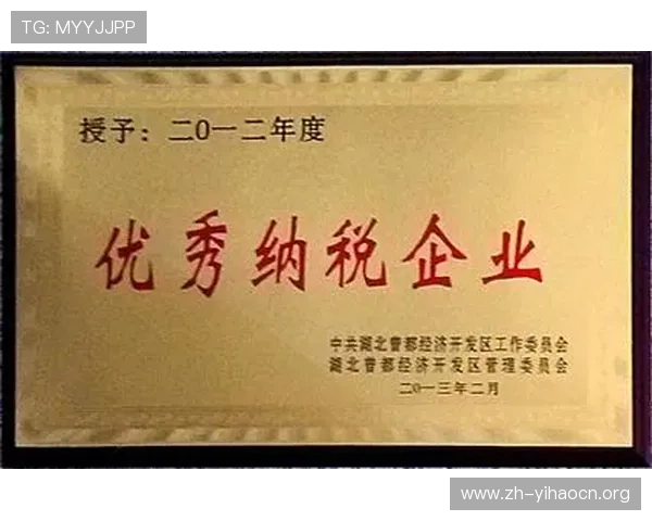 壹号集团官网：企业荣誉、合作伙伴及客户案例的深度介绍